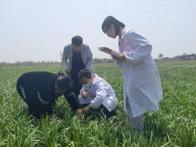 入“鏈”問診，精準(zhǔn)賦能 市檢測(cè)站發(fā)力服務(wù)農(nóng)業(yè)產(chǎn)業(yè)鏈，助推農(nóng)藥貿(mào)易高質(zhì)量發(fā)展